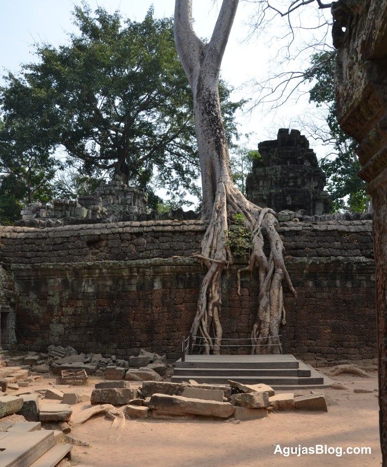 Nature will have its way.