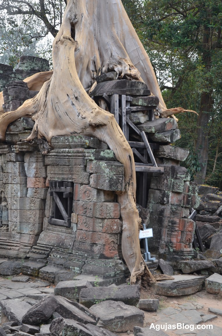 My husband says it took about three days to see the complex.