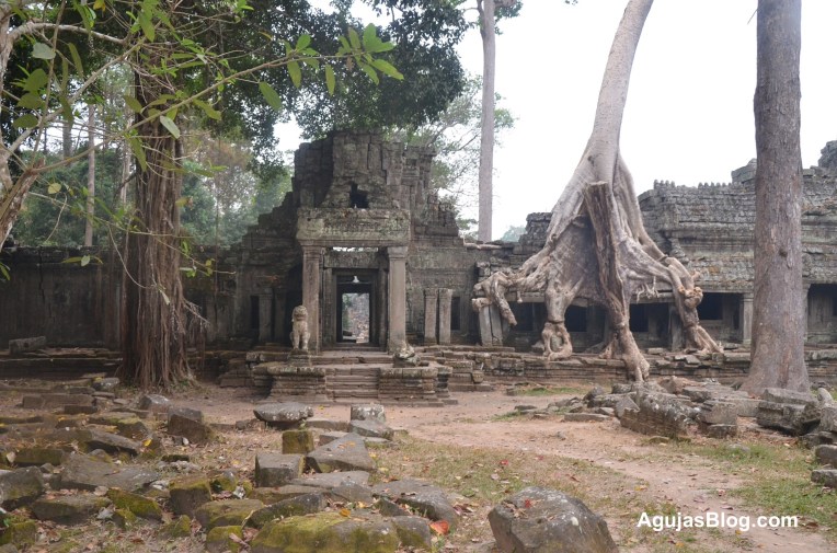 Ankor Wat is the largest Hindu temple and the largest religious monument in the world. It was built in the early 12th Century and covers over 400 square kilometers of land.