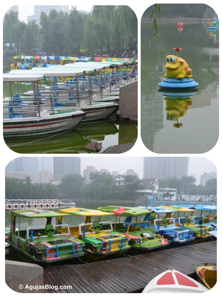 Paddle Boats for Rent.
