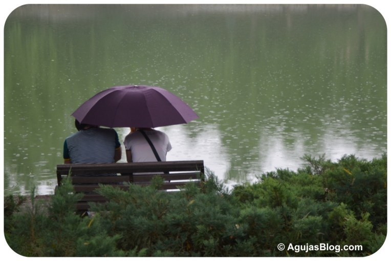Couple under Umbrella