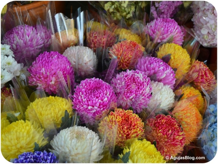 Mong Kok Flower Market 5