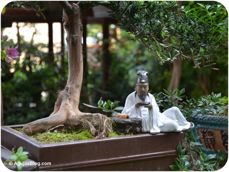 Mong Kok Flower Market 6