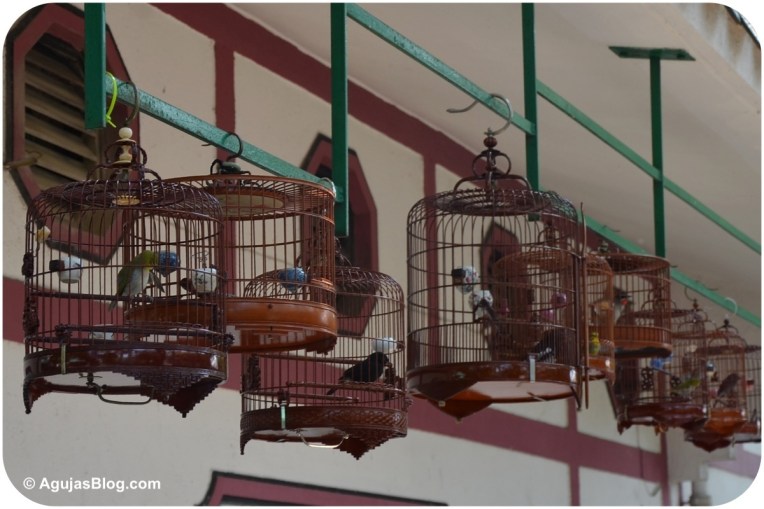 Yuen Po Street Bird Garden 1