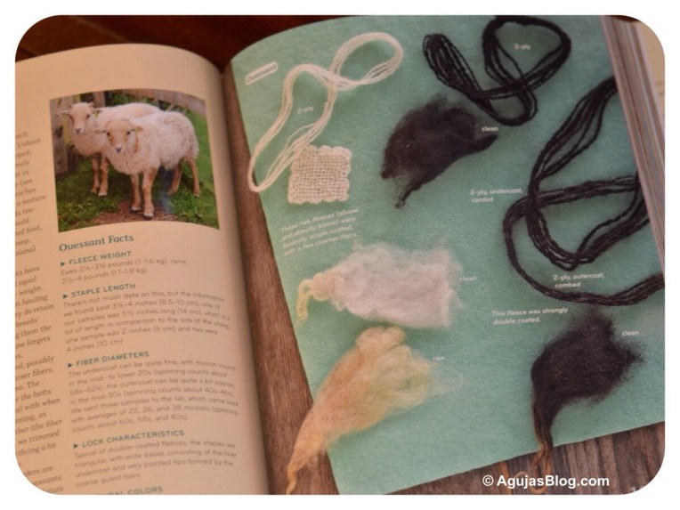 Fleece & Fiber Sourcebook -Sample