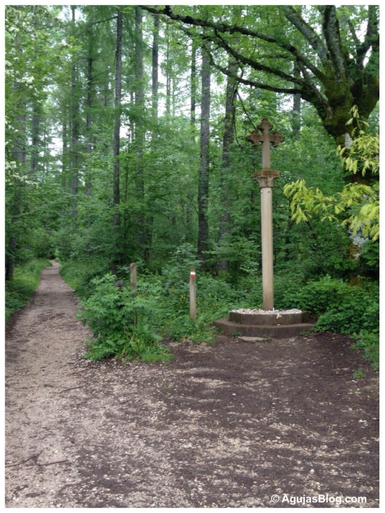 Sorginaritzaga Forest