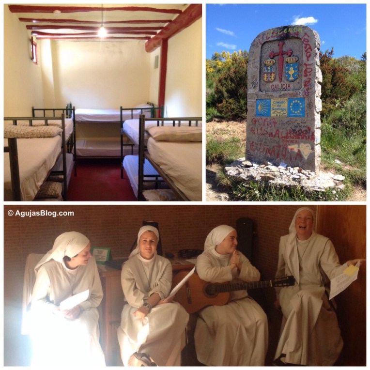 El Camino Collage Summer 2014