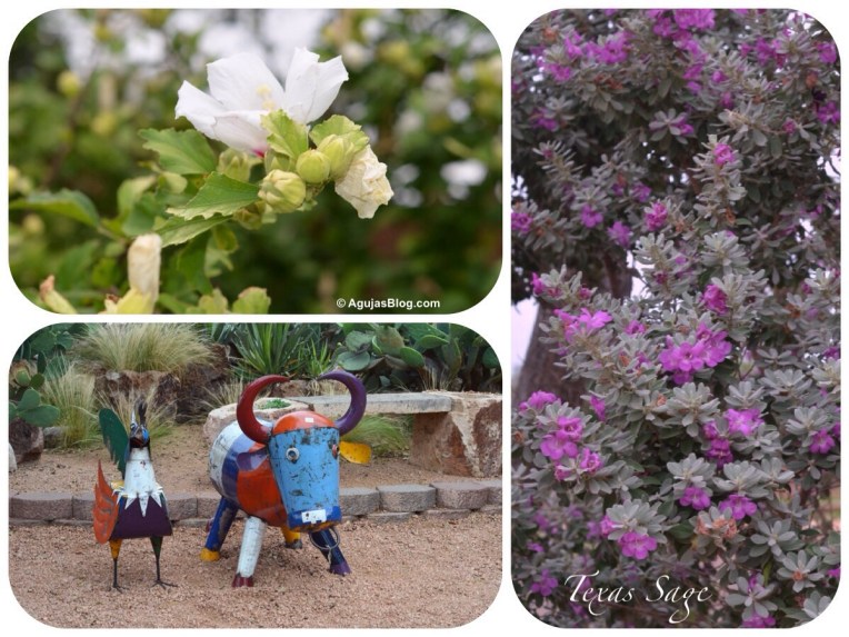 Wildseed Farms Nursery 2