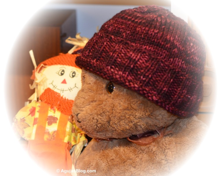 Regular Guy Beanie 1