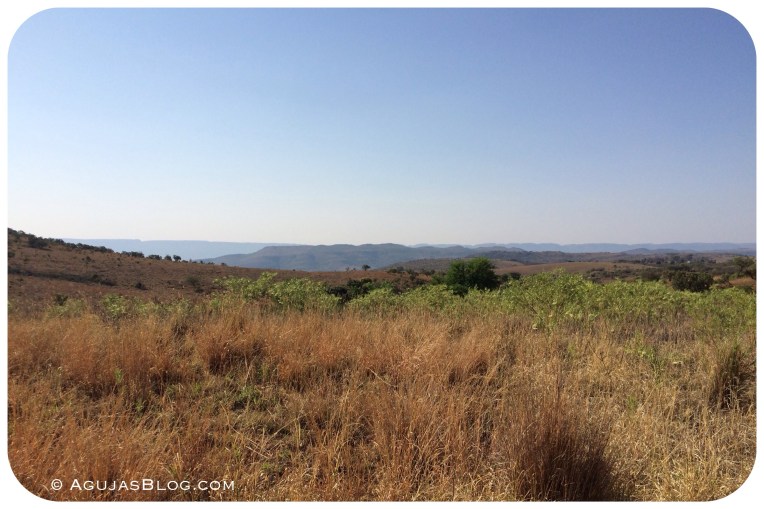 Cradle of Humankind Landscape