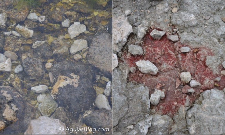 Topology @ Langhammars