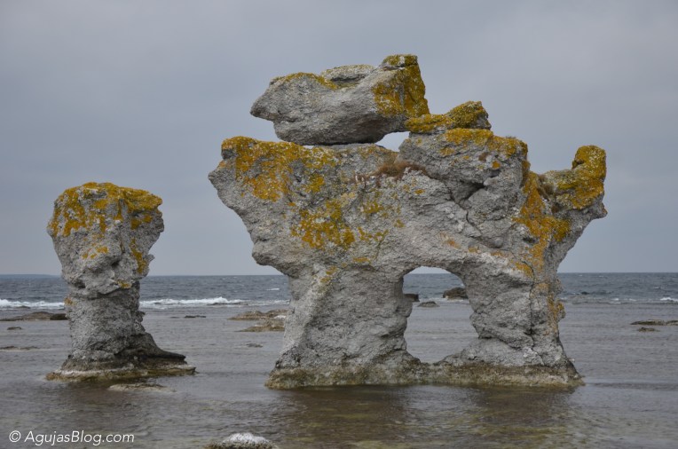 Close-up of "The Dog" sea stack @ Gamlahamn