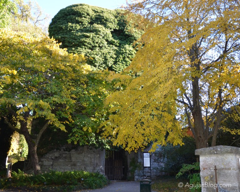 St. Olof's Church - West Tower