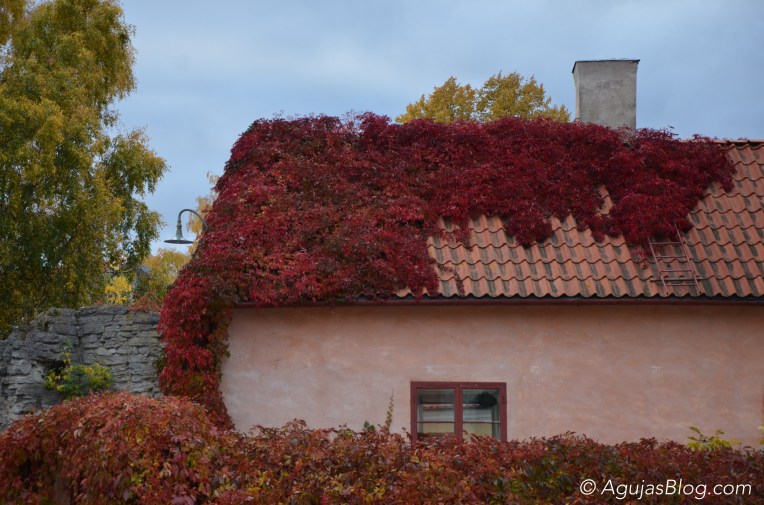 Fall in Visby 2