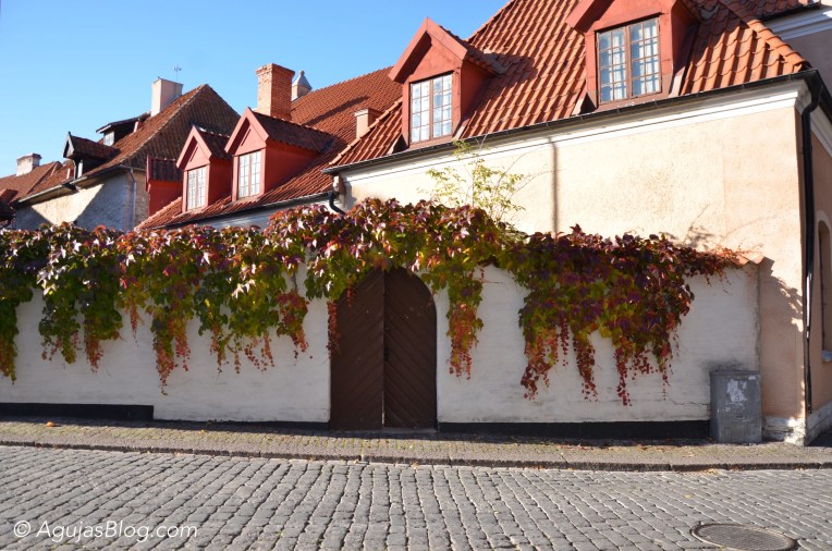 Fall in Visby - 11 Hästgatan