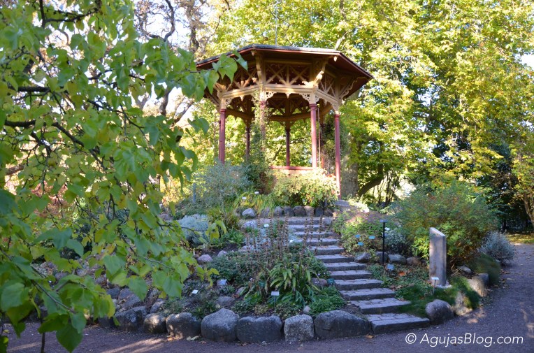 Botanical Gardens - Gazebo