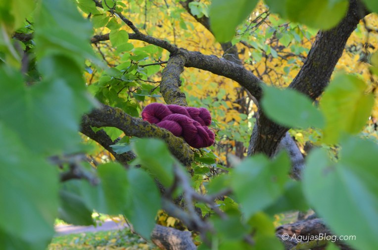 Botanical Gardens - Yllet Yarn