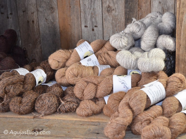 You're So Crafty Local Yarn