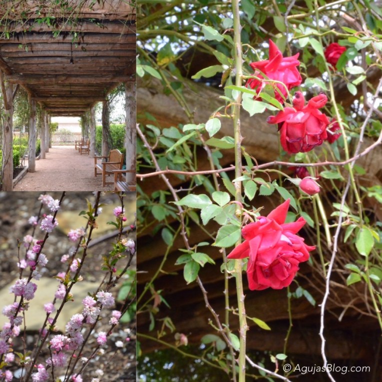 Grandmother's Flower Garden 2