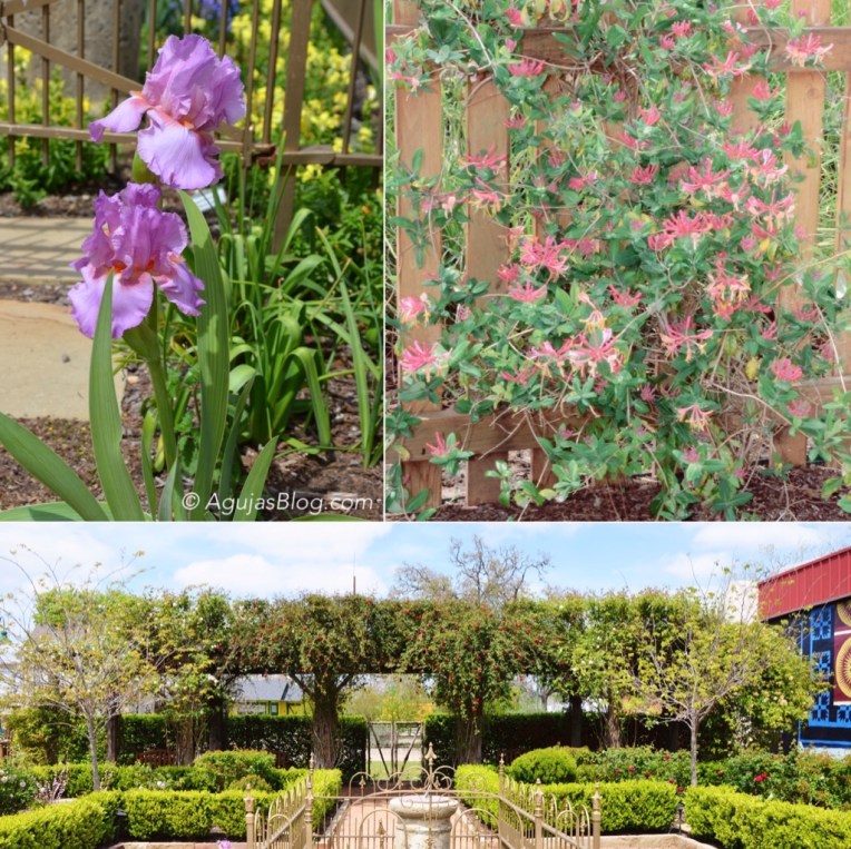 Grandmother's Flower Garden 3